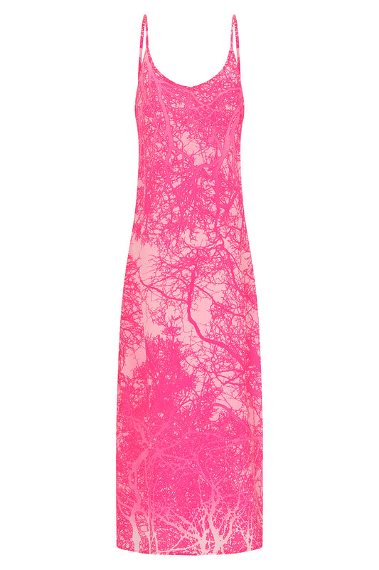 Pembroke, Bay Breeze Bubblegum