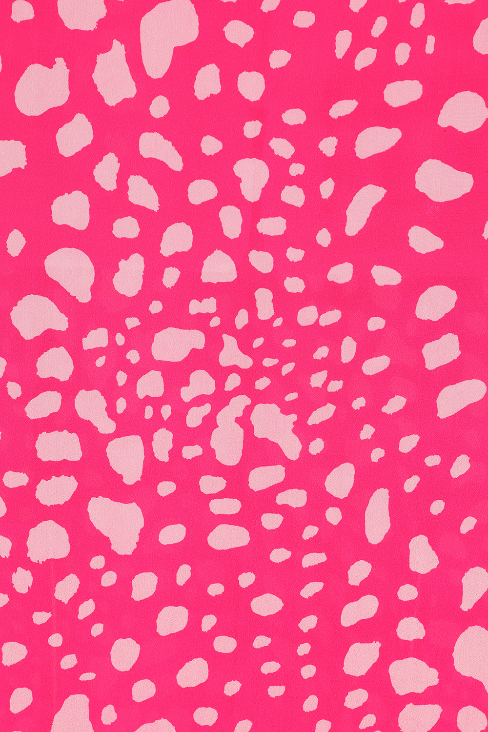 Pembroke, Cosmopolitan Bubblegum