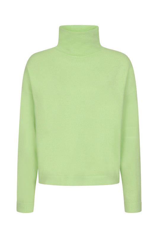 Polesden Turtleneck Solid Pistachio