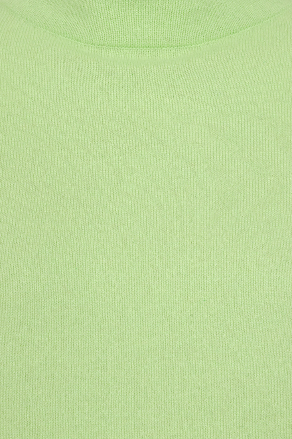 Polesden Turtleneck Solid Pistachio